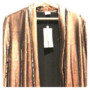 Zara women’s sequin blazer